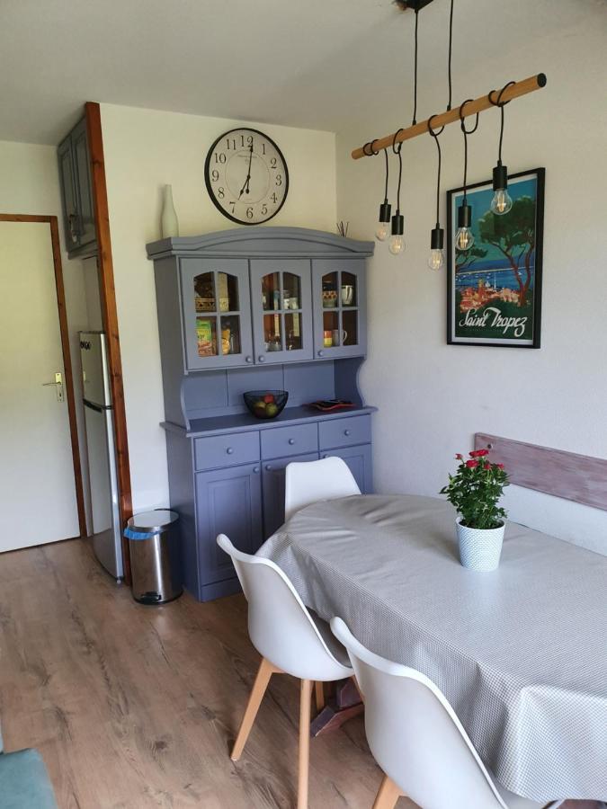 Tres Bel Appartement Vue Montagne Du Devoluy Saint-Étienne-en-Dévoluy Buitenkant foto